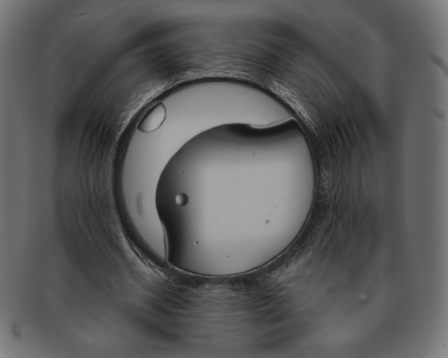 X0000091700534200709210924