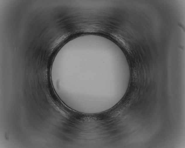 X0000091700535200709210924