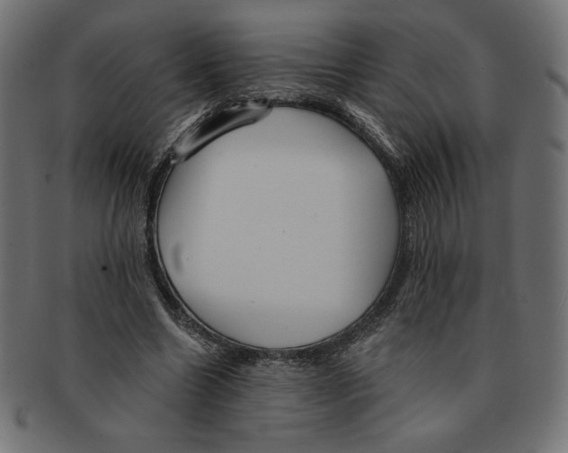 X0000091700538200709210924