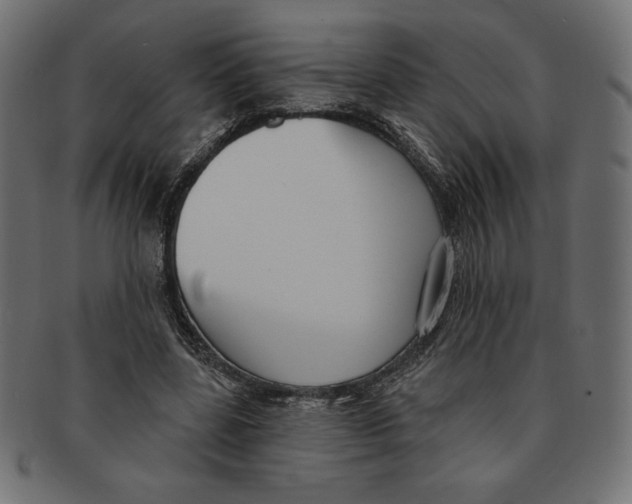 X0000091700539200709210924