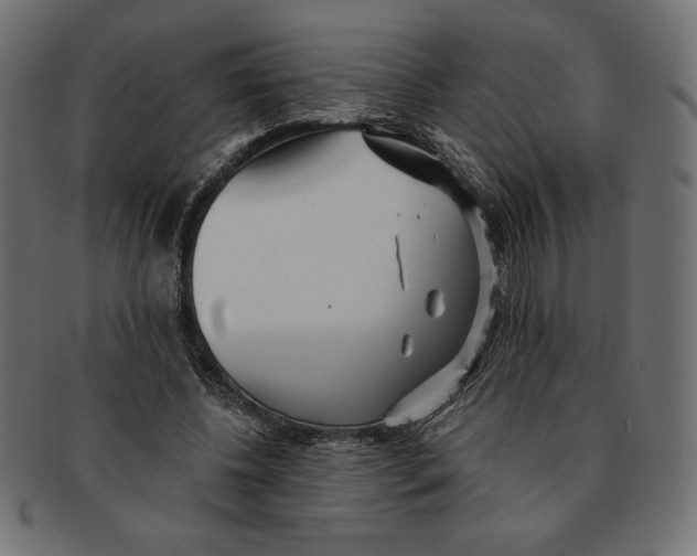 X0000091700540200709210924