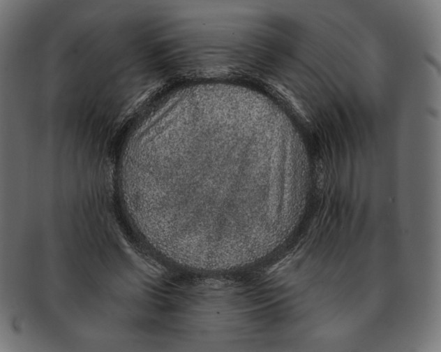 X0000091700542200709210924