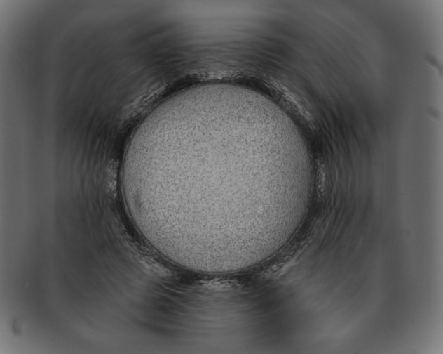 X0000091700545200709210924