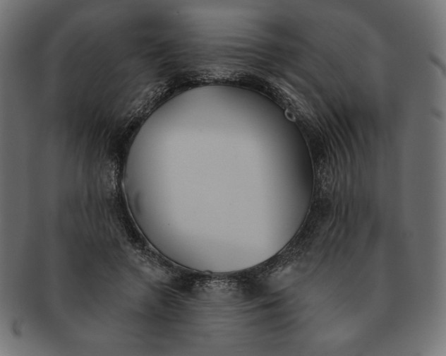 X0000091700546200709210924