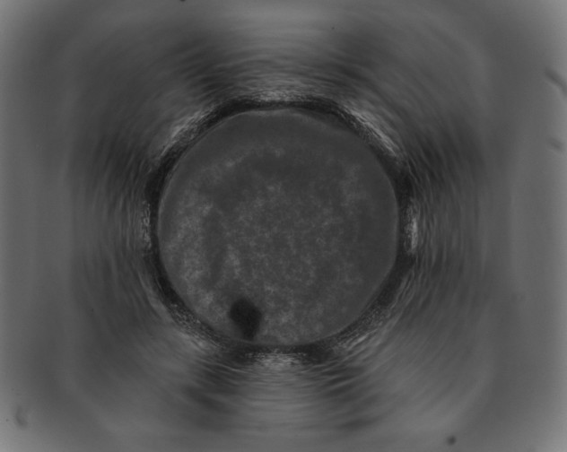 X0000091700547200709210924