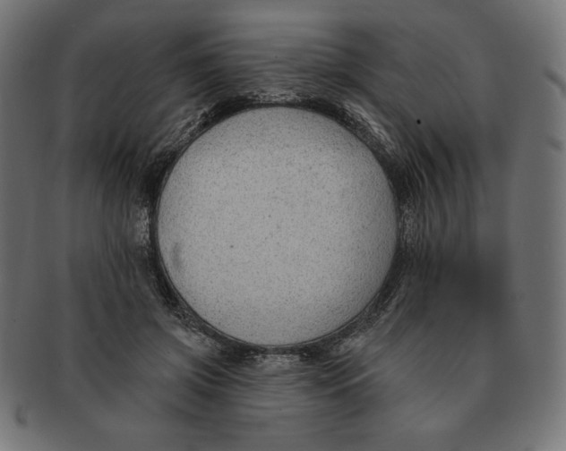 X0000091700549200709210924