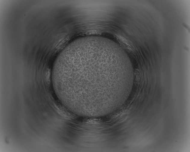 X0000091700550200709210924