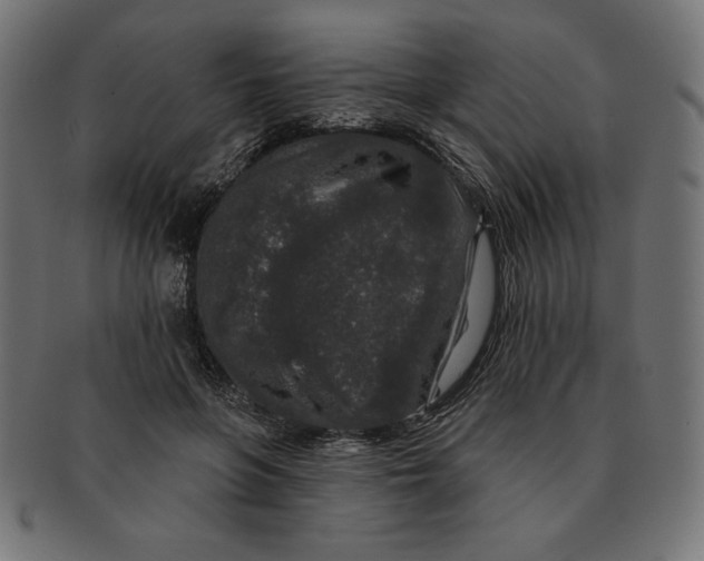 X0000091700551200709210924