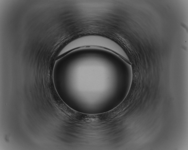 X0000091700552200709210924