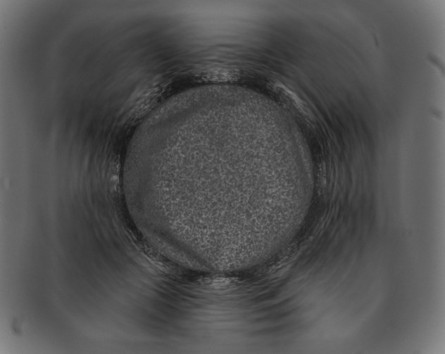 X0000091700553200709210924