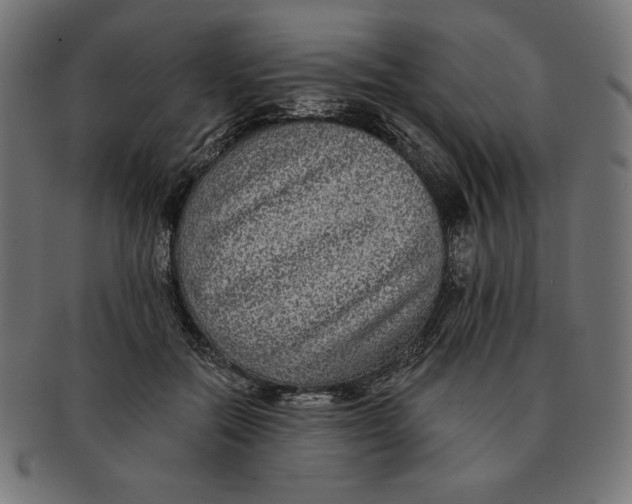 X0000091700554200709210924