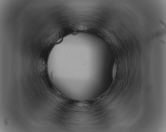 X0000091700555200709210924