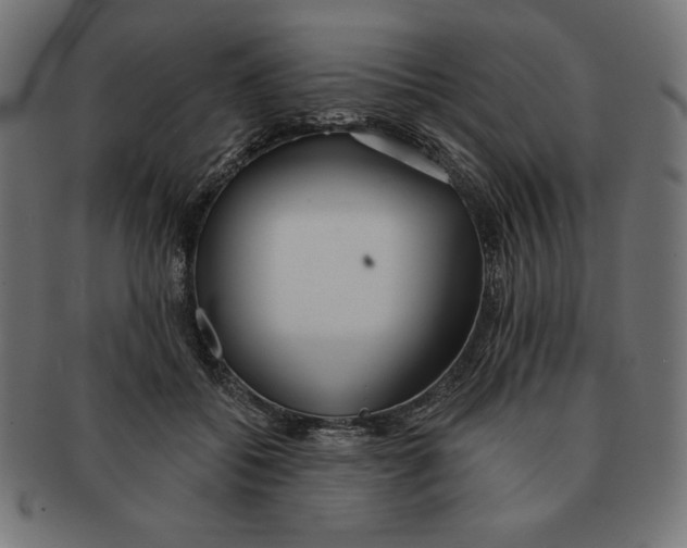 X0000091700556200709210924