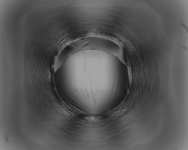 X0000091700558200709210924