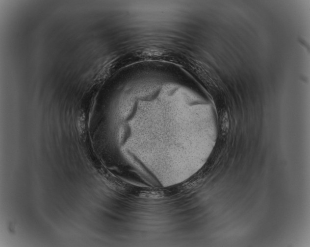 X0000091700559200709210924