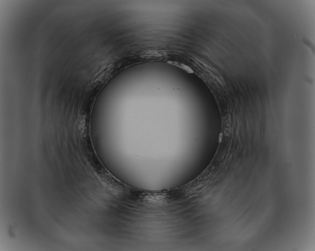 X0000091700560200709210924