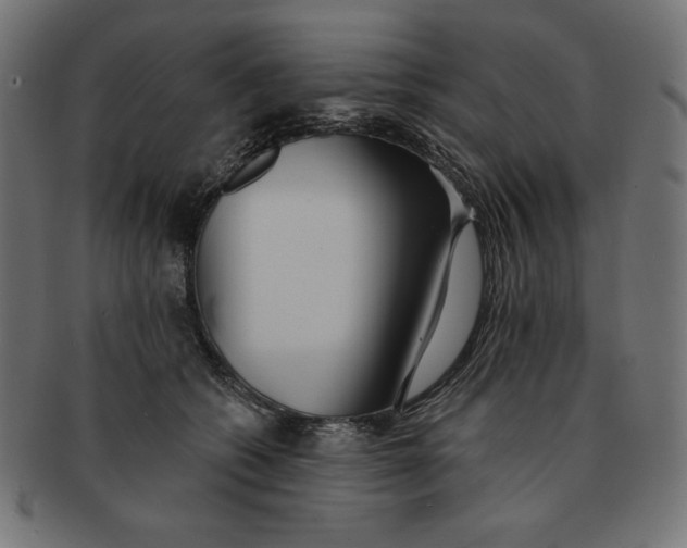 X0000091700562200709210924