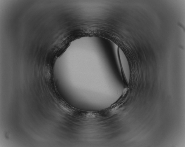 X0000091700566200709210924