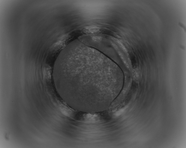 X0000091700570200709210924