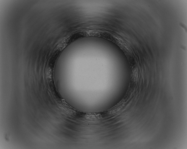 X0000091700571200709210924