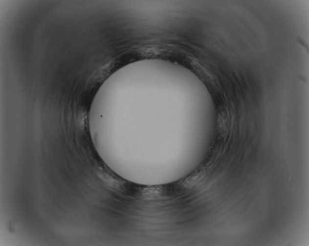 X0000091700574200709210925