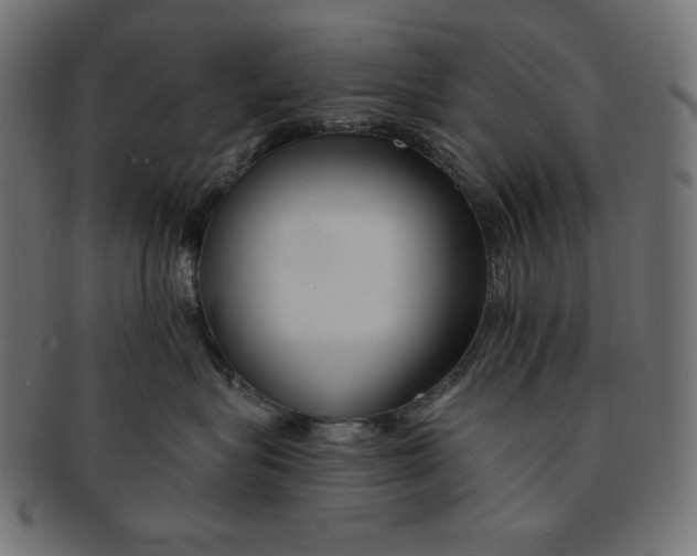 X0000091700575200709210925