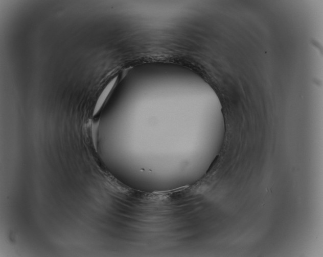 X0000091700576200709210925