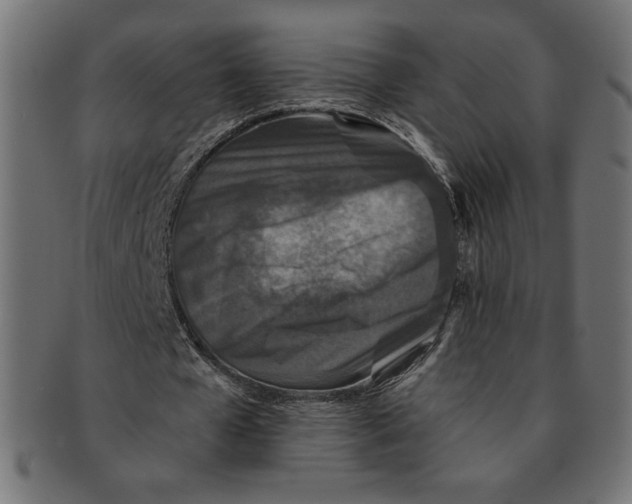 X0000091700577200709210924