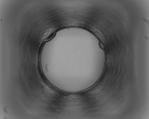 X0000091700578200709210924