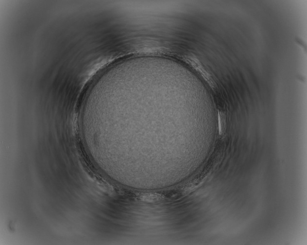 X0000091700579200709210924