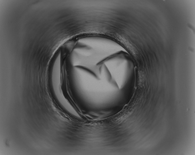 X0000091700580200709210924