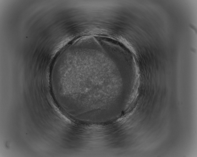 X0000091700581200709210924