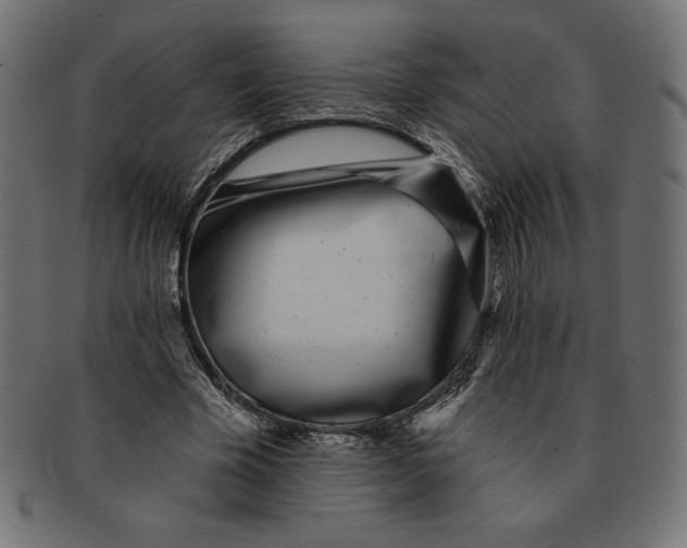 X0000091700585200709210924