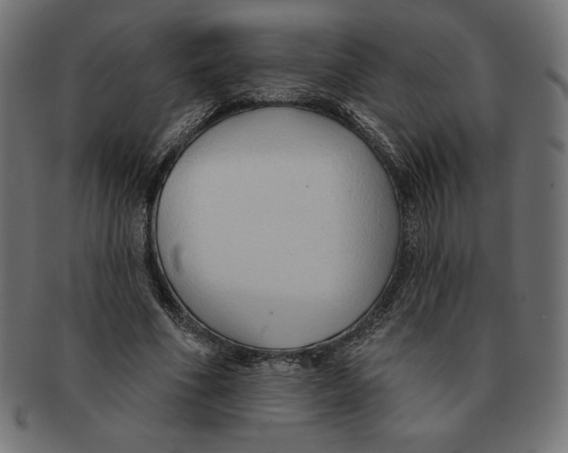 X0000091700586200709210924