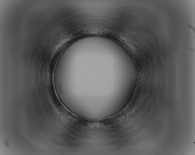 X0000091700587200709210924