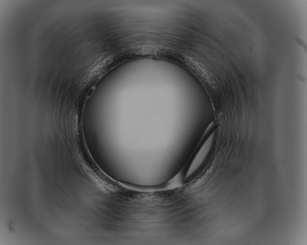 X0000091700589200709210924