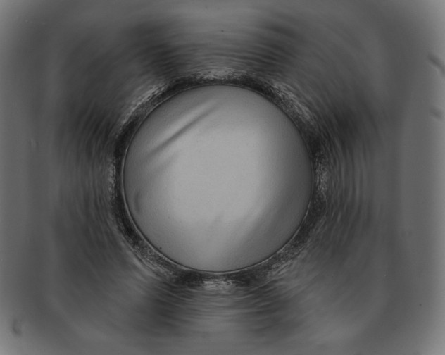 X0000091700591200709210924