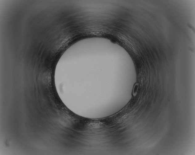 X0000091700595200709210924