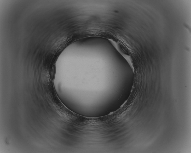 X0000091700597200709210924