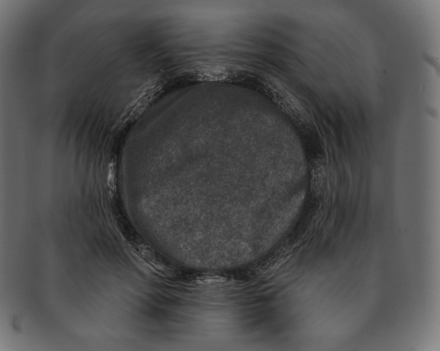 X0000091700598200709210924