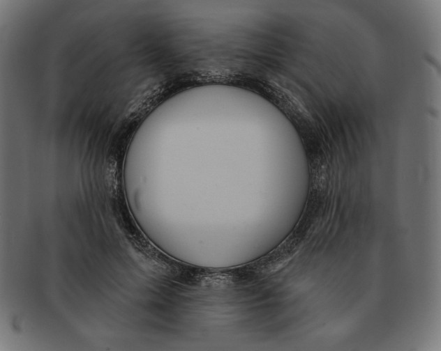 X0000091700599200709210924