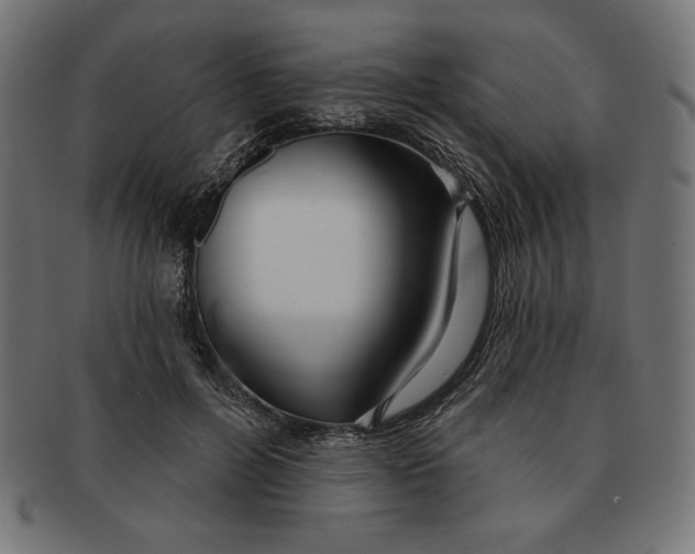 X0000091700600200709210924