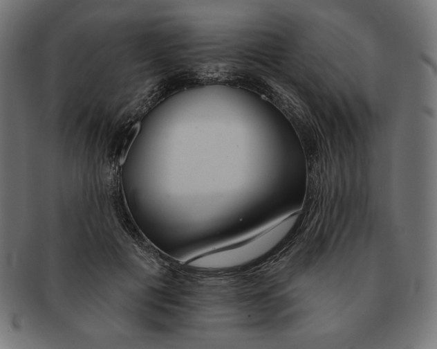 X0000091700601200709210924