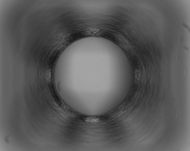 X0000091700602200709210924