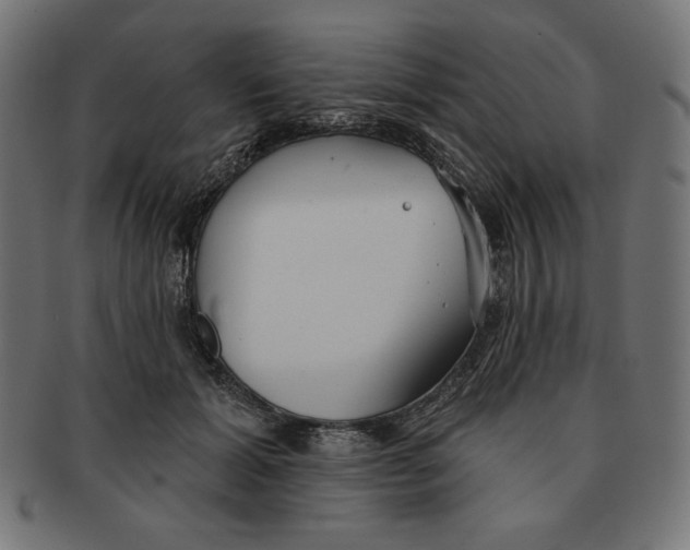 X0000091700605200709210923