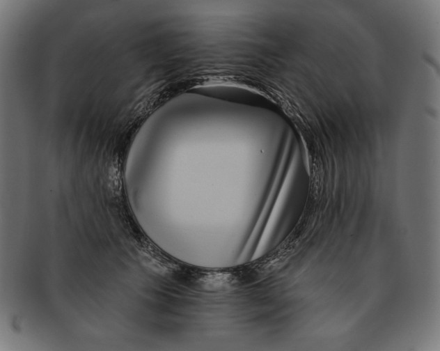 X0000091700609200709210923