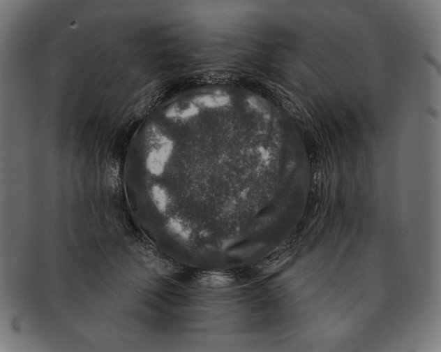 X0000091700610200709210923