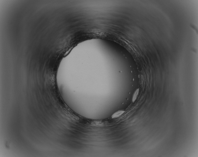 X0000091700613200709210923