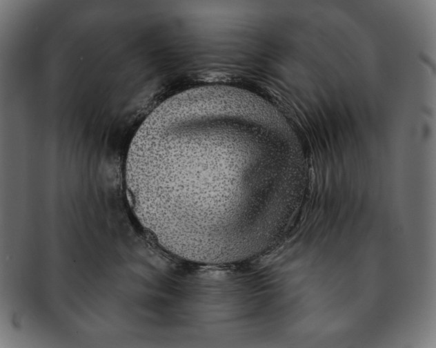 X0000091700620200709210923