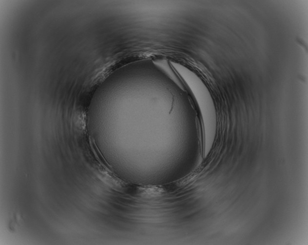 X0000091700621200709210923